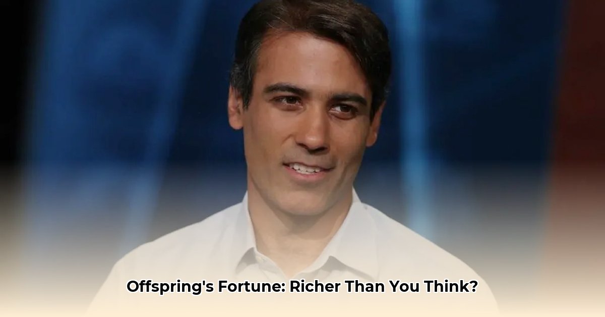 the offspring net worth